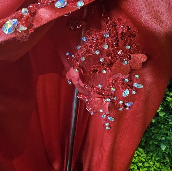 Ladivine by Cinderella dress, size medium, used once - Picture 7 of 13